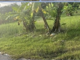 ขายที่ดิน ดอนเจริญ เมืองนครนายก 200 ตร.ว. ติดถนน มีน้ำ มีไฟ พร้อม