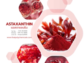 แอสตาแซนธิน, Astaxanthin, ราชาแห่งสารต้านอนุมูลอิสระ,